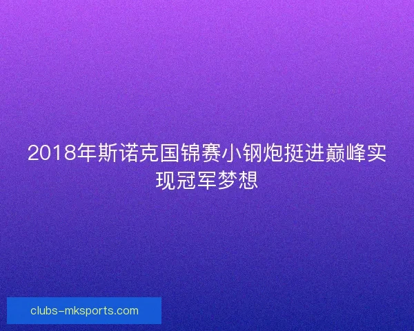 2018年斯诺克国锦赛小钢炮挺进巅峰实现冠军梦想
